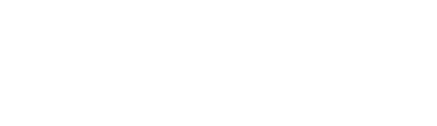 IRS Representation Conference Logo White